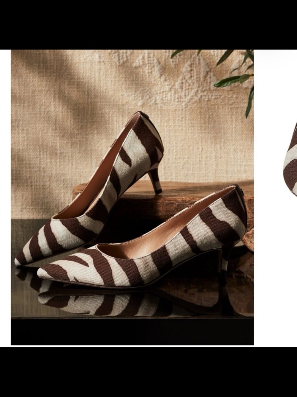 NWB Lauren Ralph Lauren women’s Adrienne pointed toe pump zebra hickory size 7.5